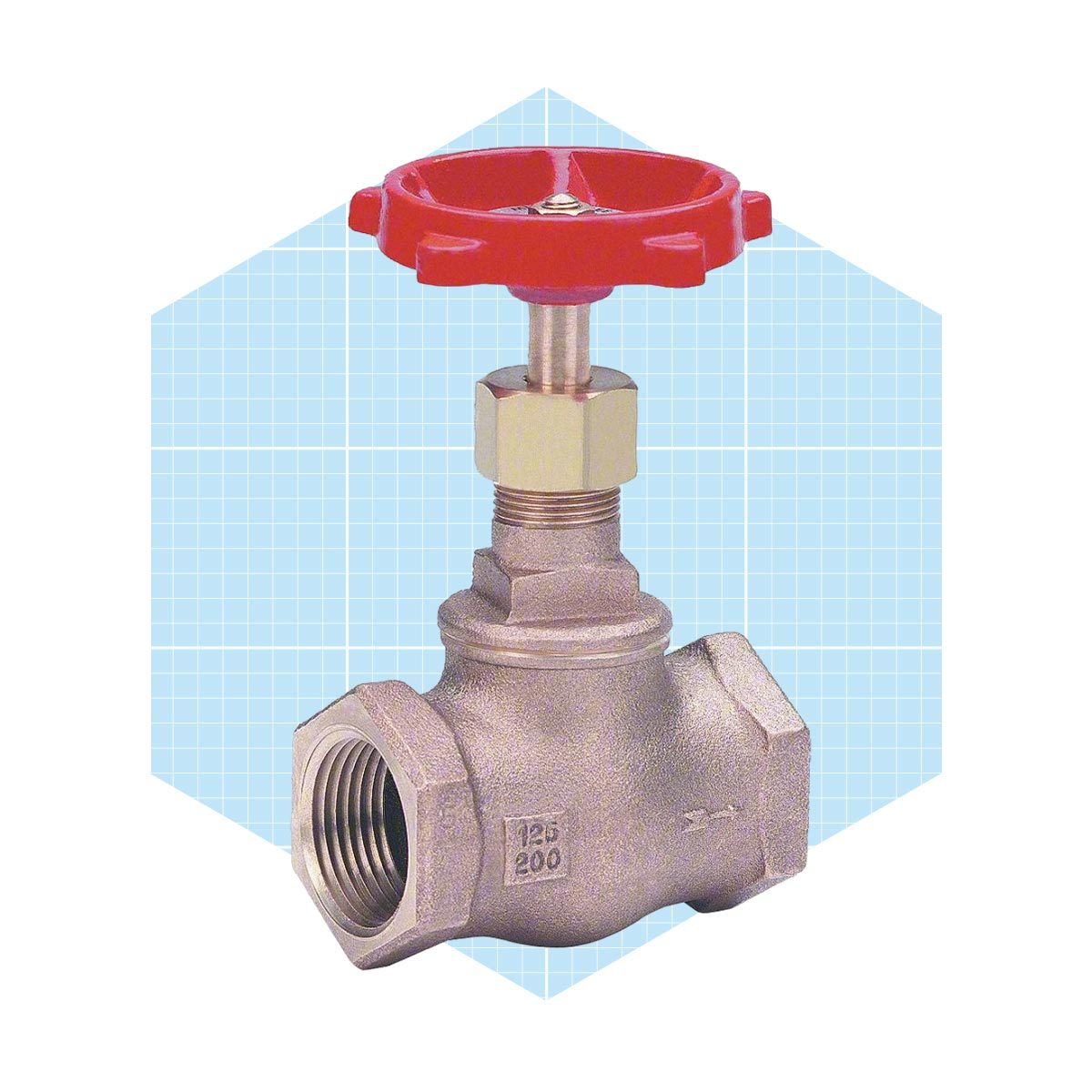 Globe Valve