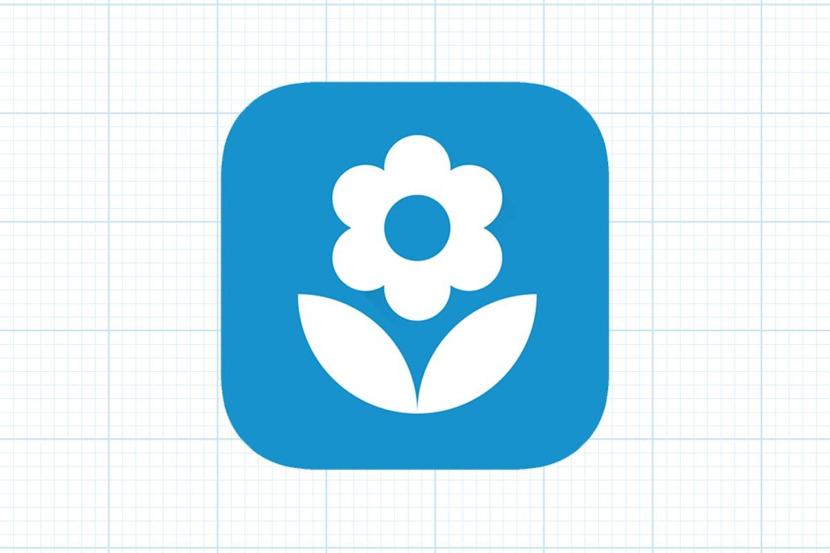 The Best Plant Identification Apps Flowerchecker