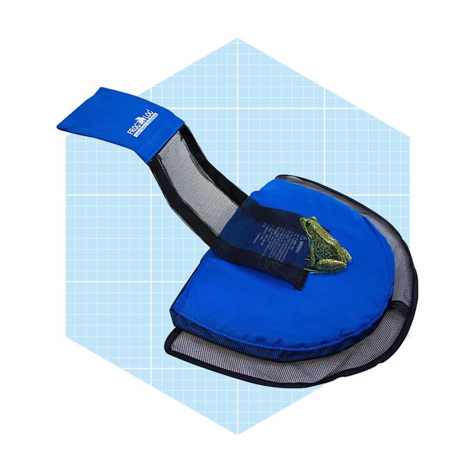 A blue frog-catching net rests on a flat surface, featuring a mesh section and a handle, with a green frog perched on top.