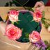 Floral Foam Alternatives for Sustainable Flower Arrangements