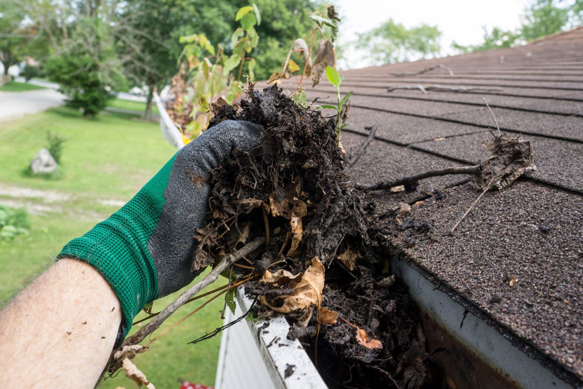A gloved hand removes clumps of wet leaves and debris from a gutter, positioned on a roof with greenery visible in the background.