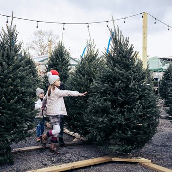 Two children explore a lot filled with Christmas trees, one reaching out to touch a tree while the other watches, under string lights in a cloudy atmosphere.