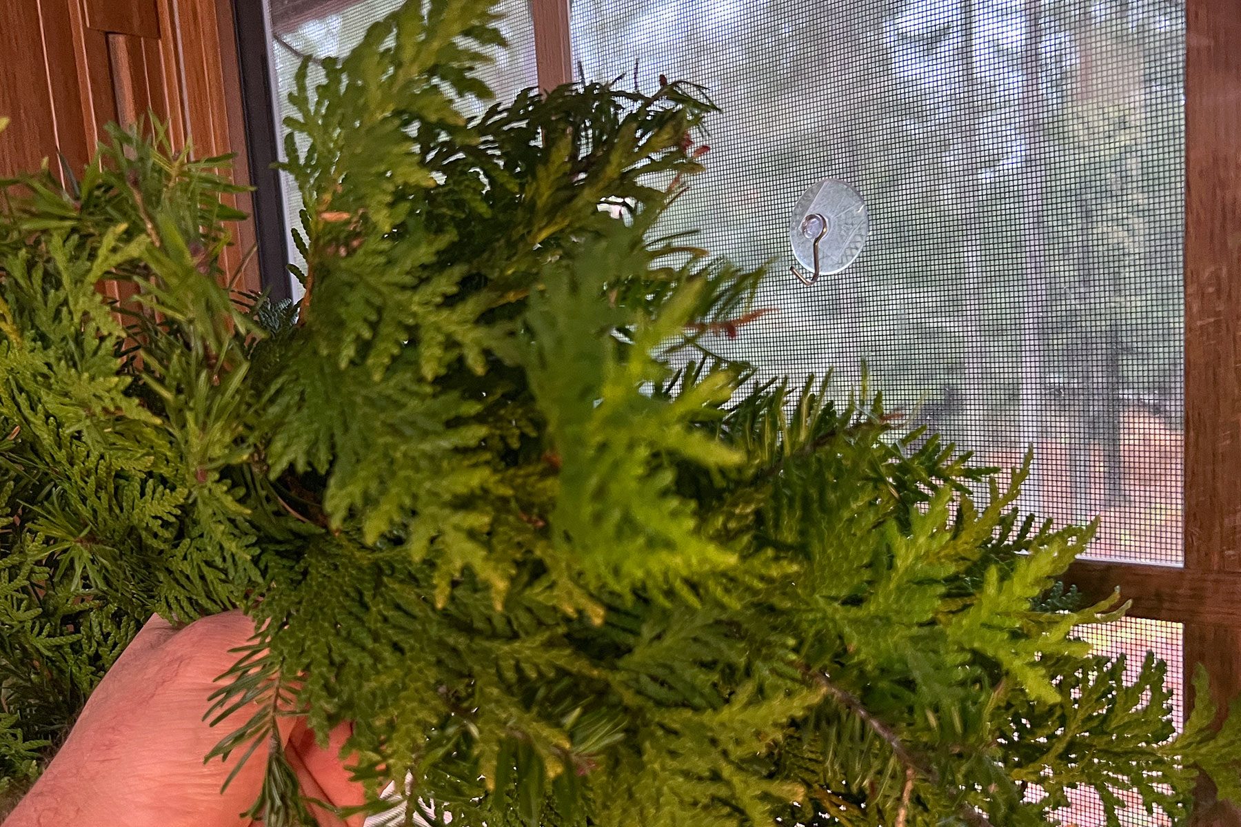 Suction hook on window 