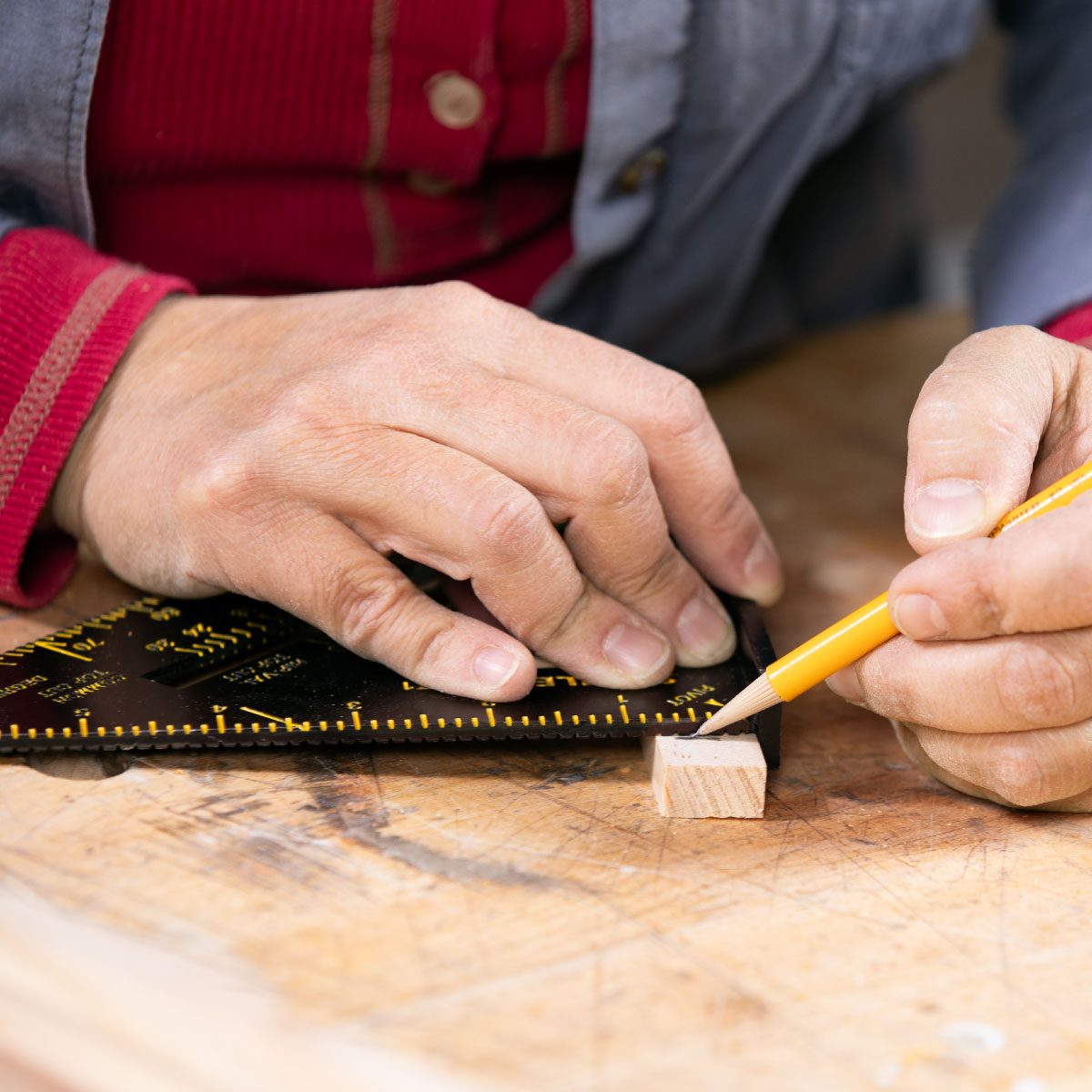 Birdhouse Speed Square