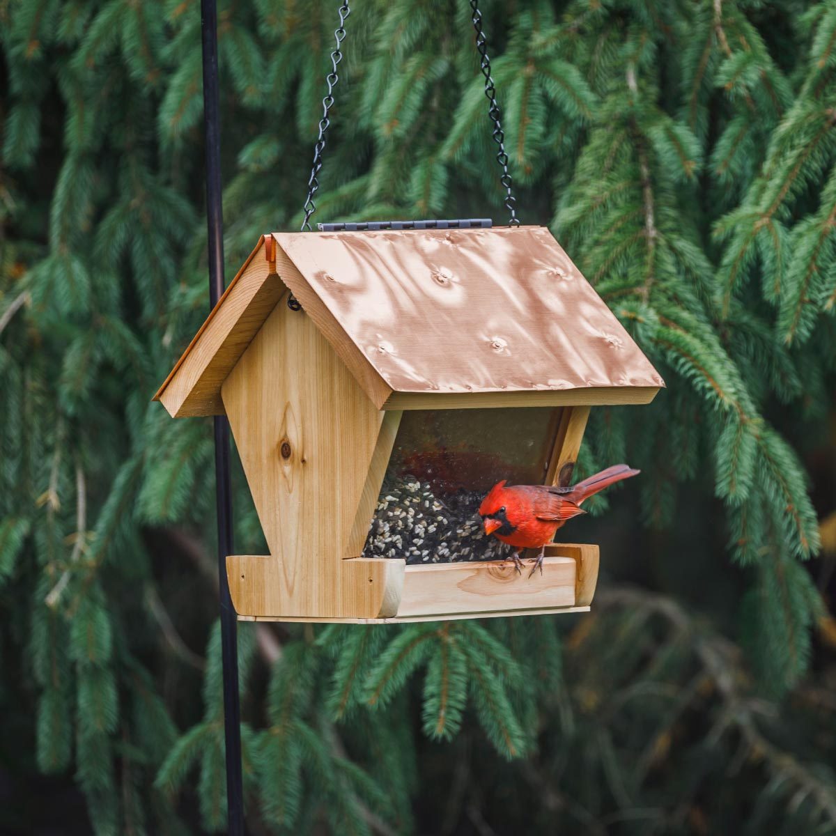 How To Make a Bird Feeder