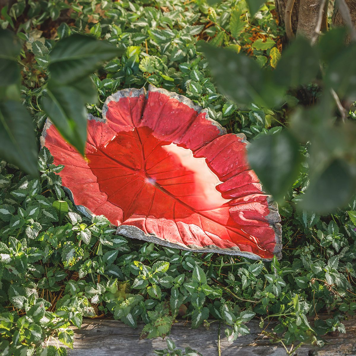 How To Make a Birdbath