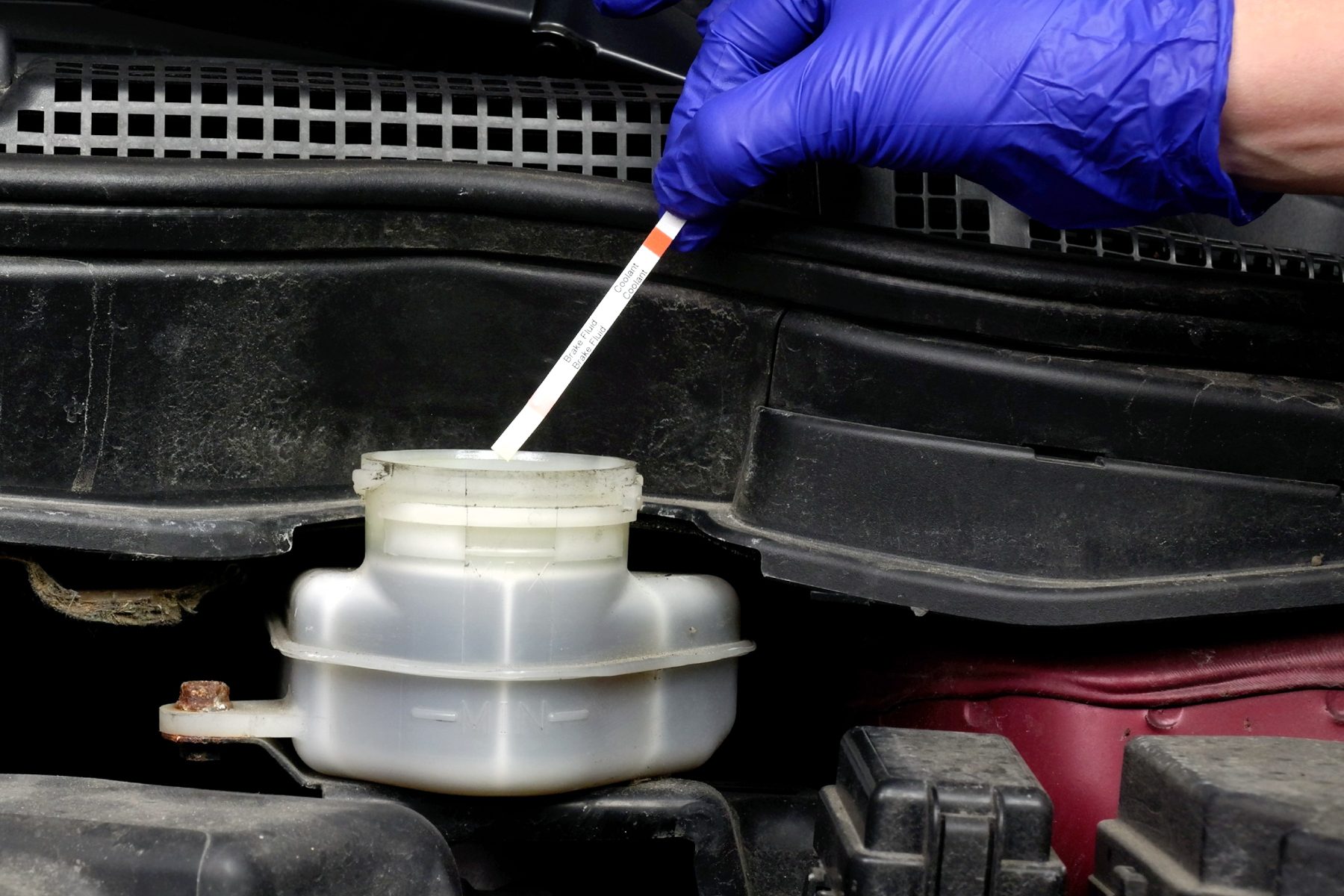 Dip The Brake Fluid Test Strip