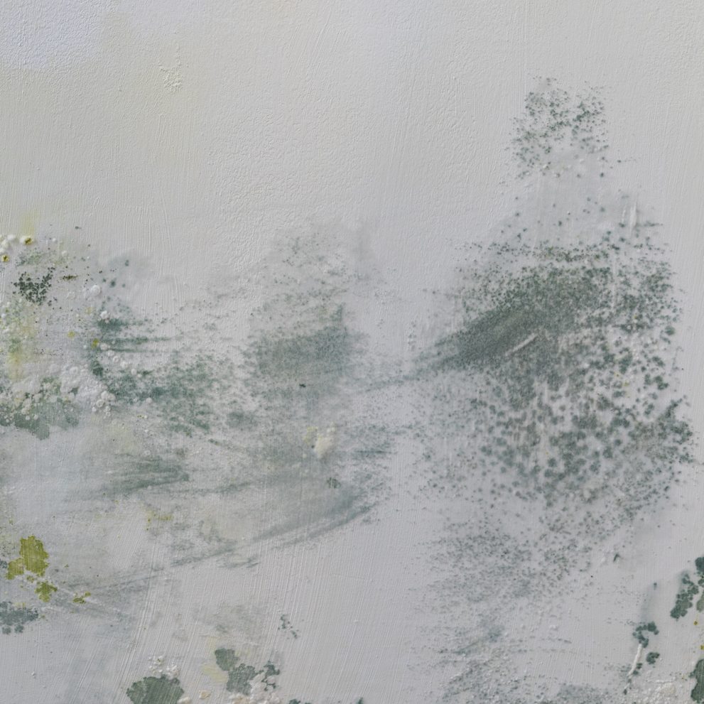 Mold from condensation on the walls in the room, stock photo