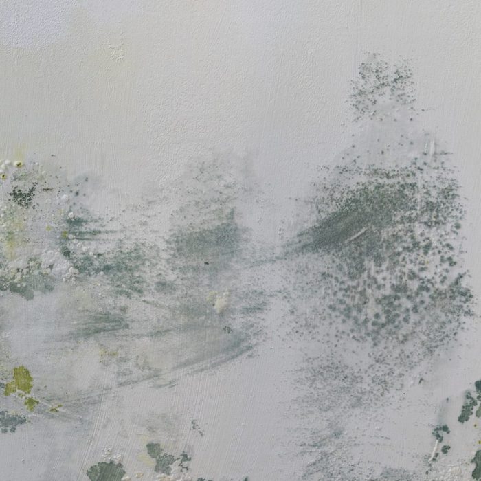 Mold from condensation on the walls in the room, stock photo