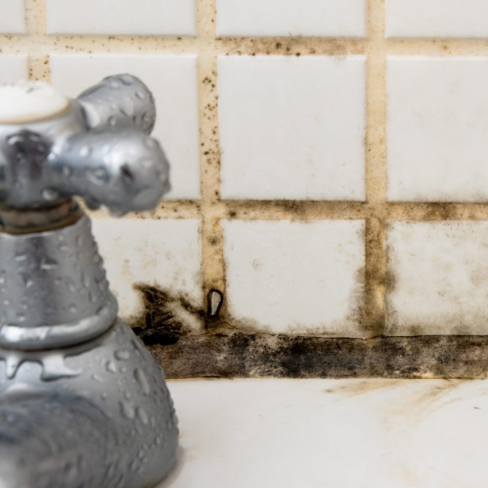 Bathroom dirt and mould on grouting and tiles behind tap