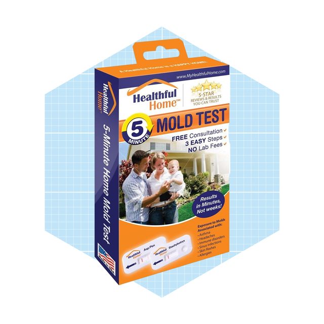 Healthful Home Store 5 Minute Mold Test