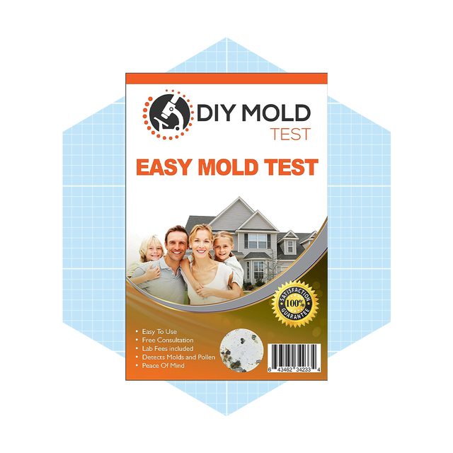 Min Mold Test Kit