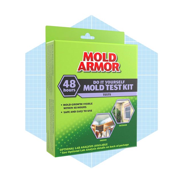 Mold Armor Diy Mold Test Kit Ecomm Via Amazon.com