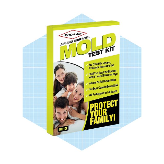 Prolab Mold Test Kit Ecomm Via Amazon.com