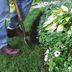 Ditch Plastic Landscape Edging for Natural Mulch