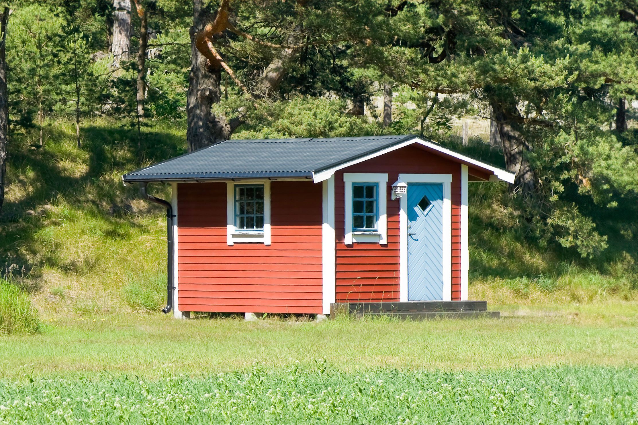 Can You Turn a Shed Into a Tiny Home? Here’s What to Know