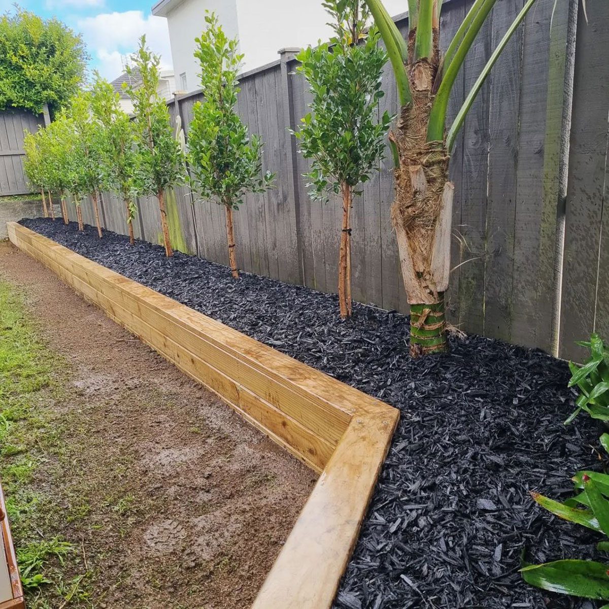 Black Mulch Keeps Your Planter