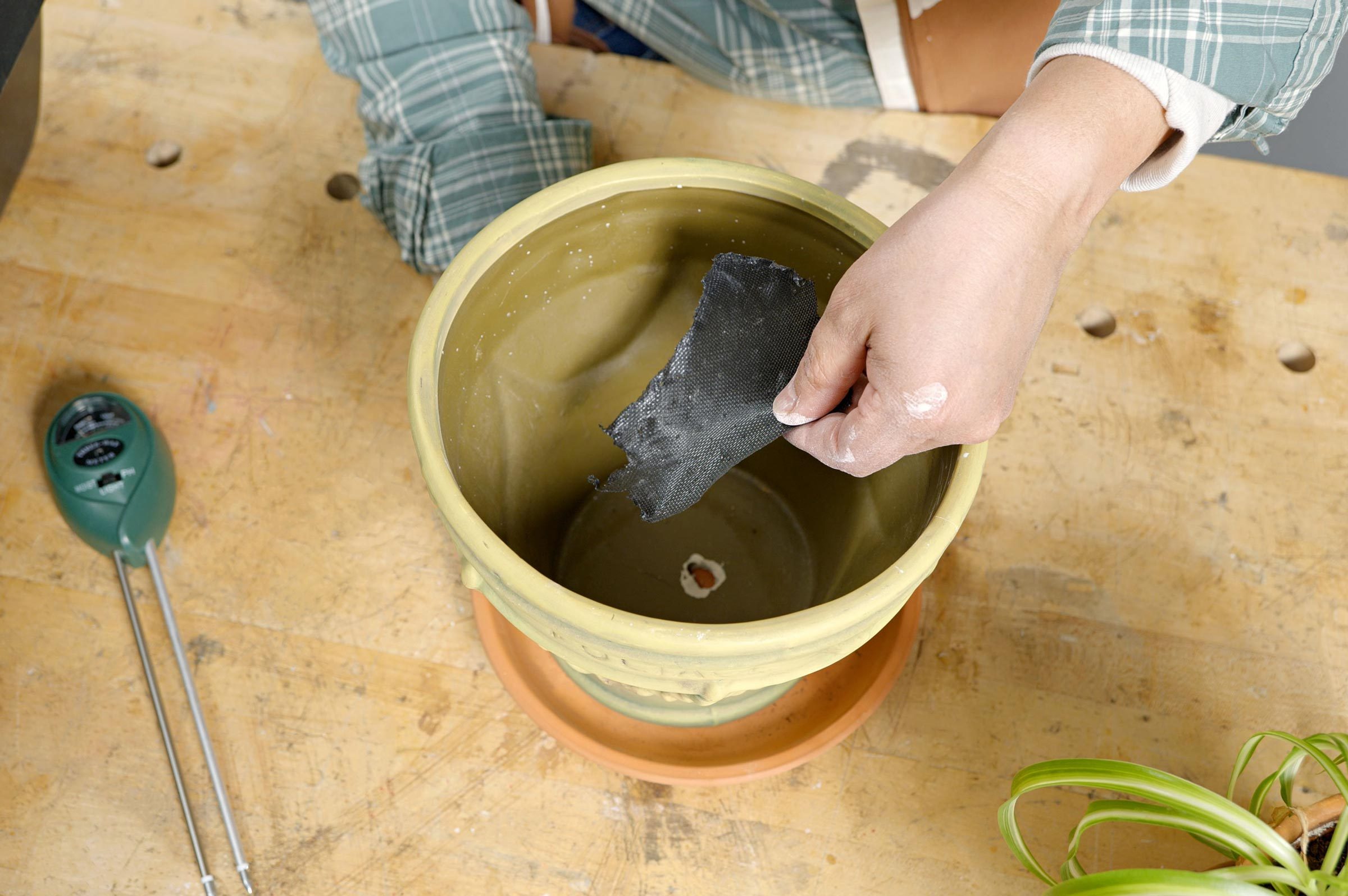 Fhmvs24 Pk 04 10 Repotaplant Step3