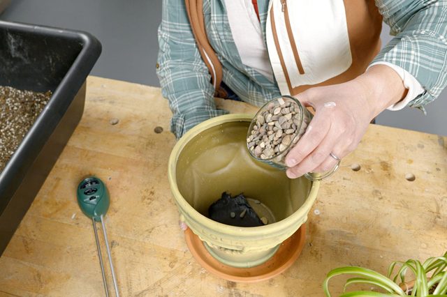 Fhmvs24 Pk 04 10 Repotaplant Step4