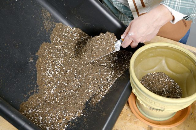 filling a planter with soil