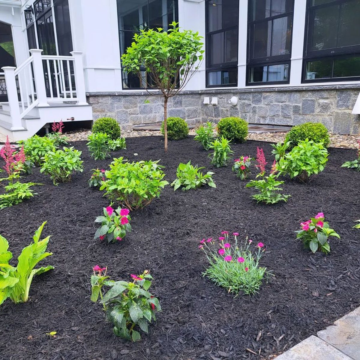 Keep Your Flower Bed Healthy With Black Mulch