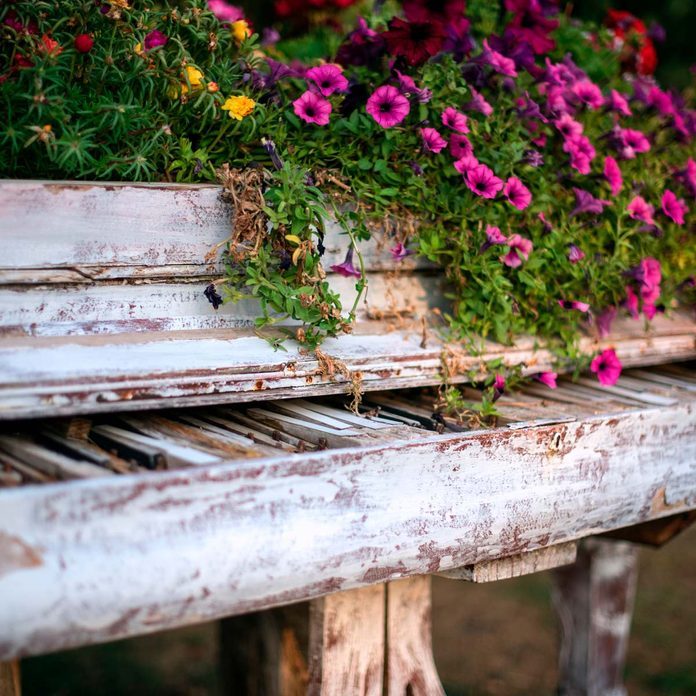 Shutterstock 791524876 Piano