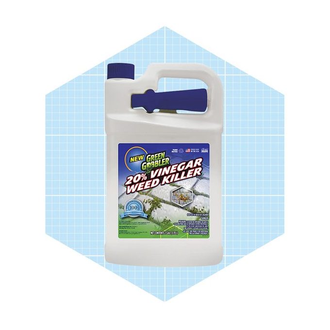 Fh23apr 624 55 M02 1