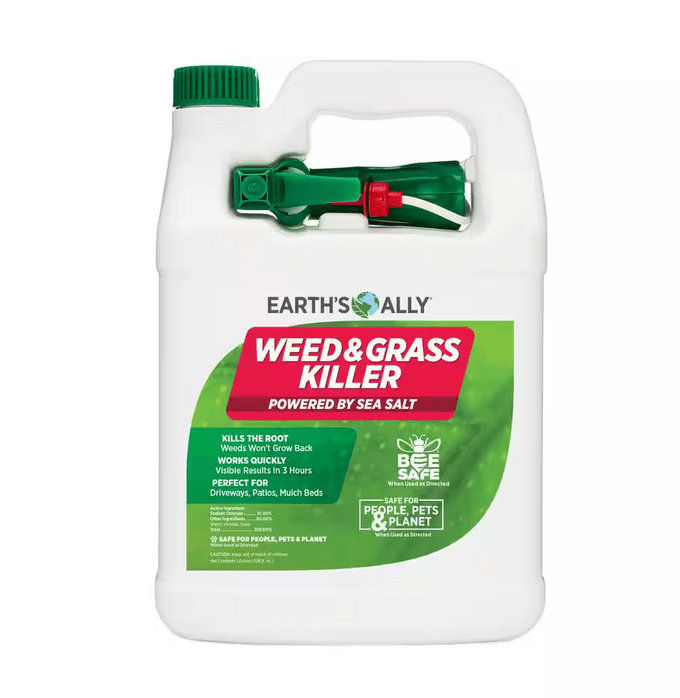 Screen Shot 2024 07 29 At 3.05.24 Pm