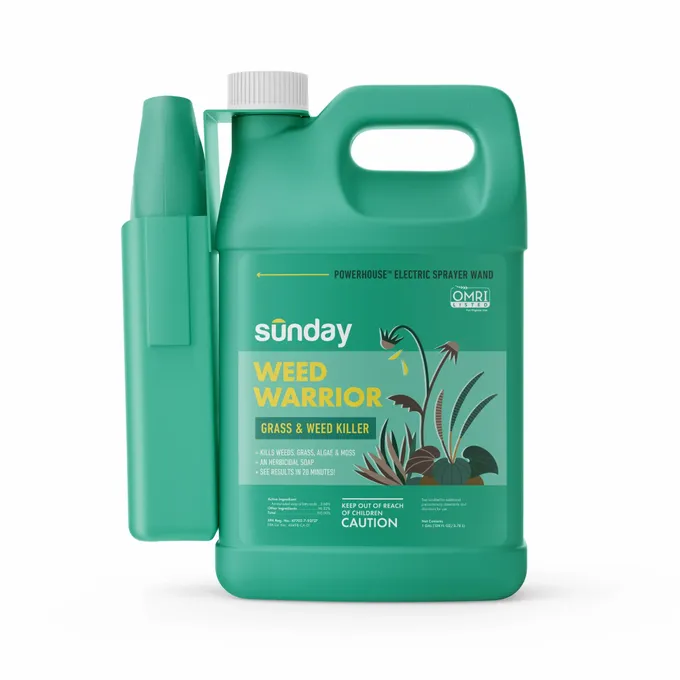 Sunday Weed Warrior Non Selective Herbicide Gallon Sprayer 1 Gal 128 Oz 6b3b8de3 2c9d 49af 96be C52215e06a12.a8747bc028cb6843b0d3a1a215c66d75