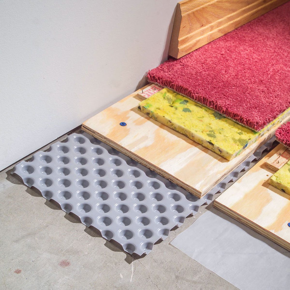 Don’t Even Think of Laying Carpet in Your Basement Before You Do This