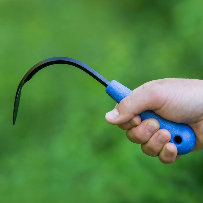 Cobrahead Weeder And Cultivator