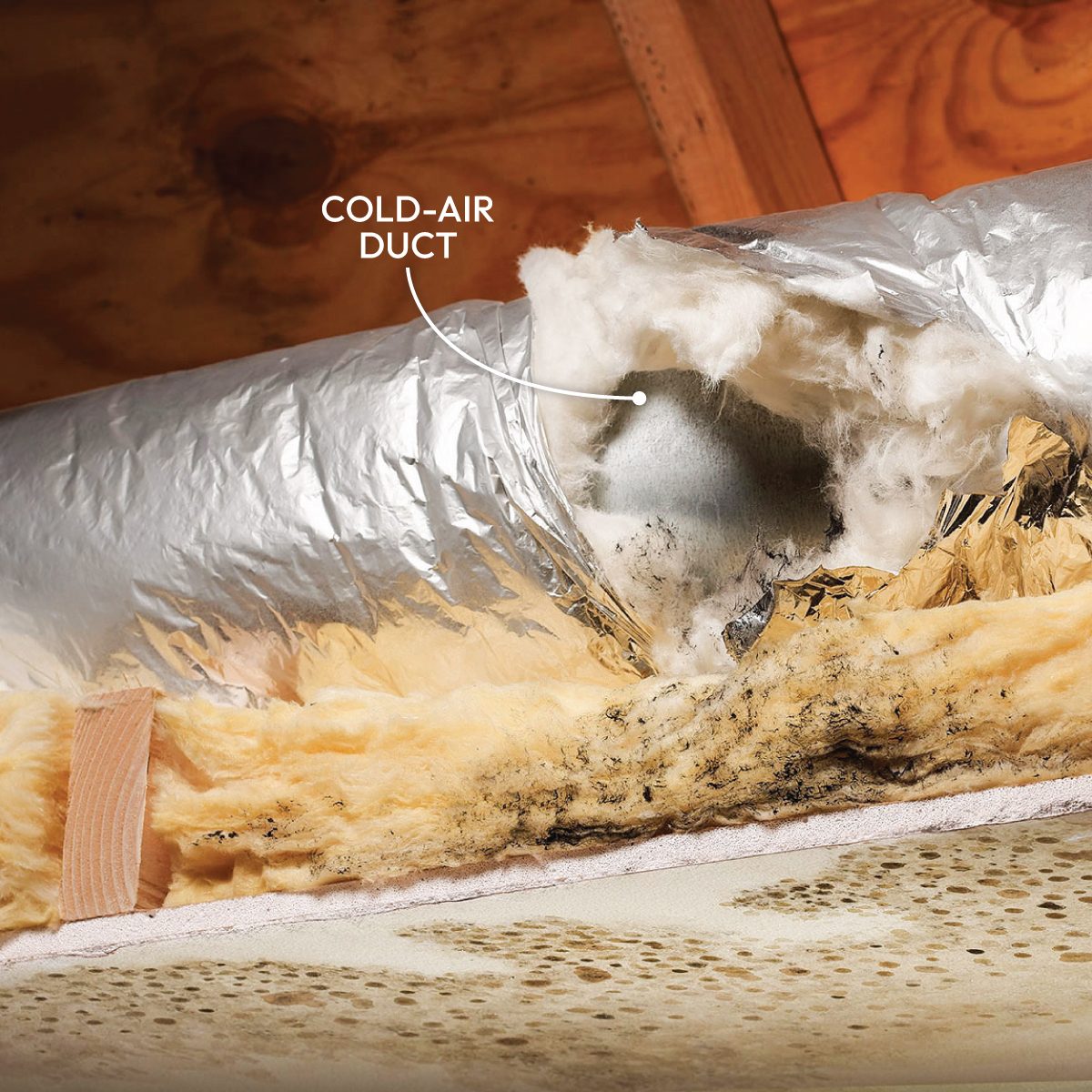 Mold Testing Inspect the Ductwork