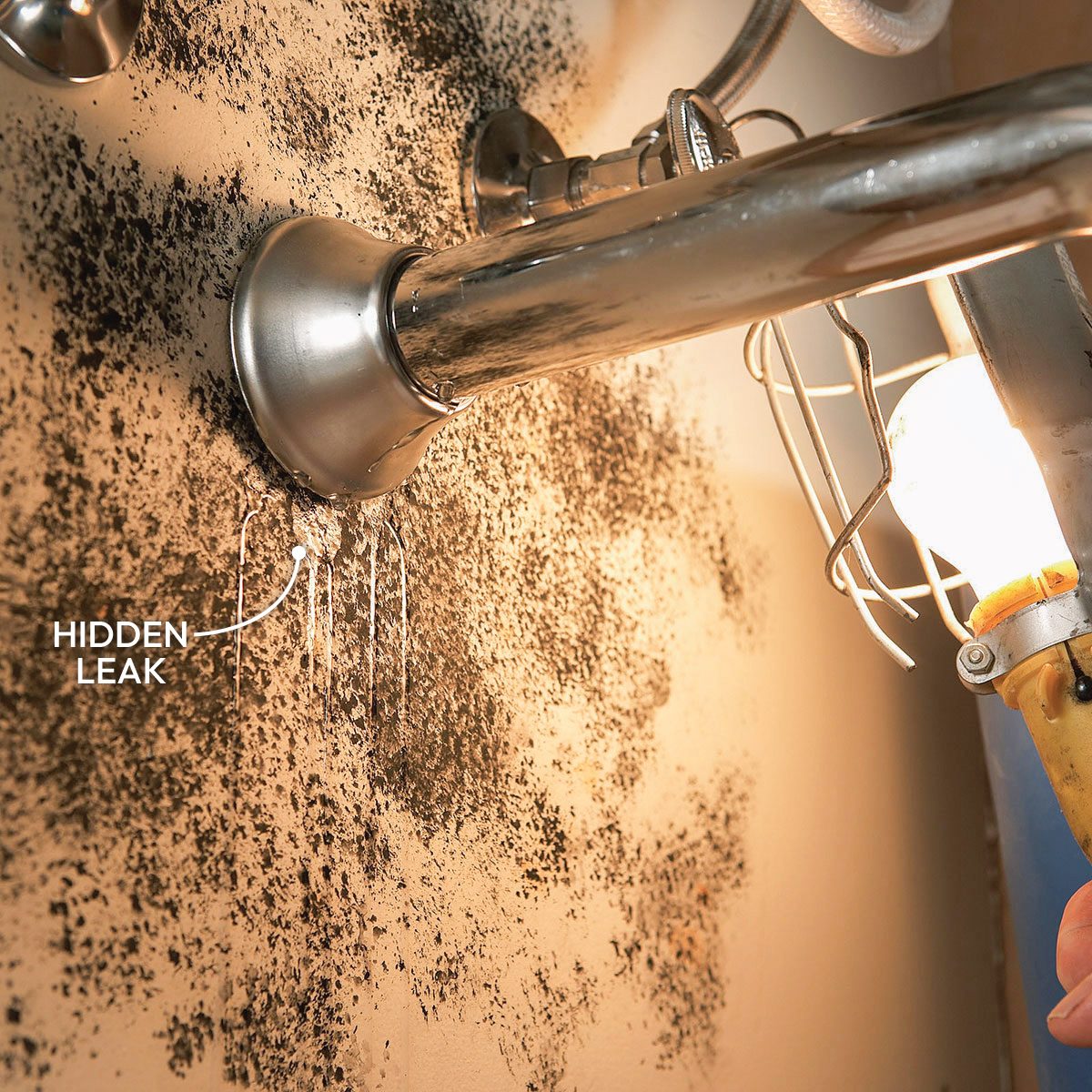 Mold Testing Check for Plumbing Leaks