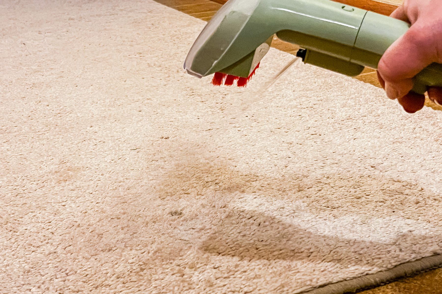 Bissell Little Green