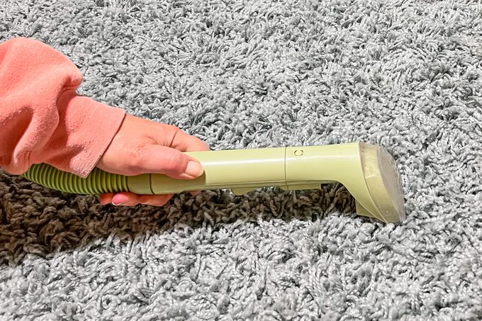 Bissell Little Green