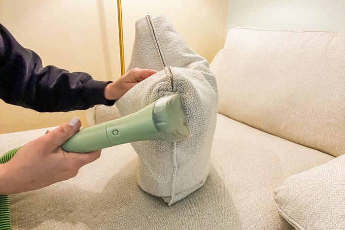 Bissell Little Green