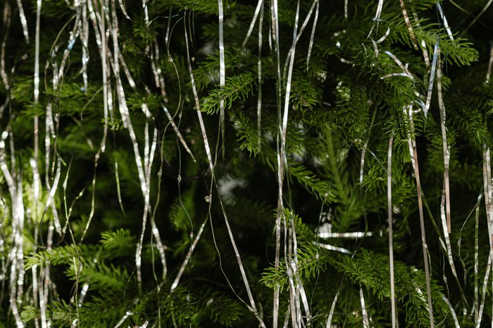 Close up photo of silverish tinsels on a green coniferous tree with garlands.