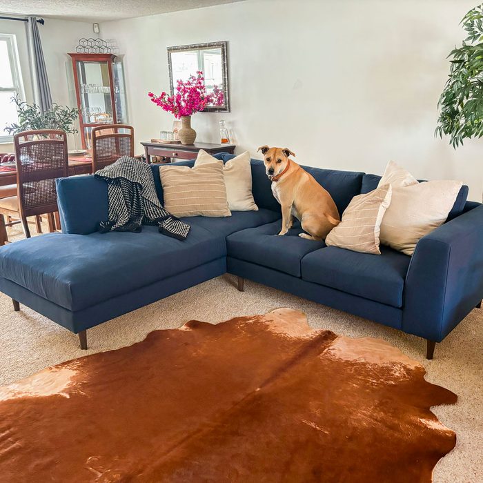 Medley Dekayess Bumper Sectional In Latex Wool