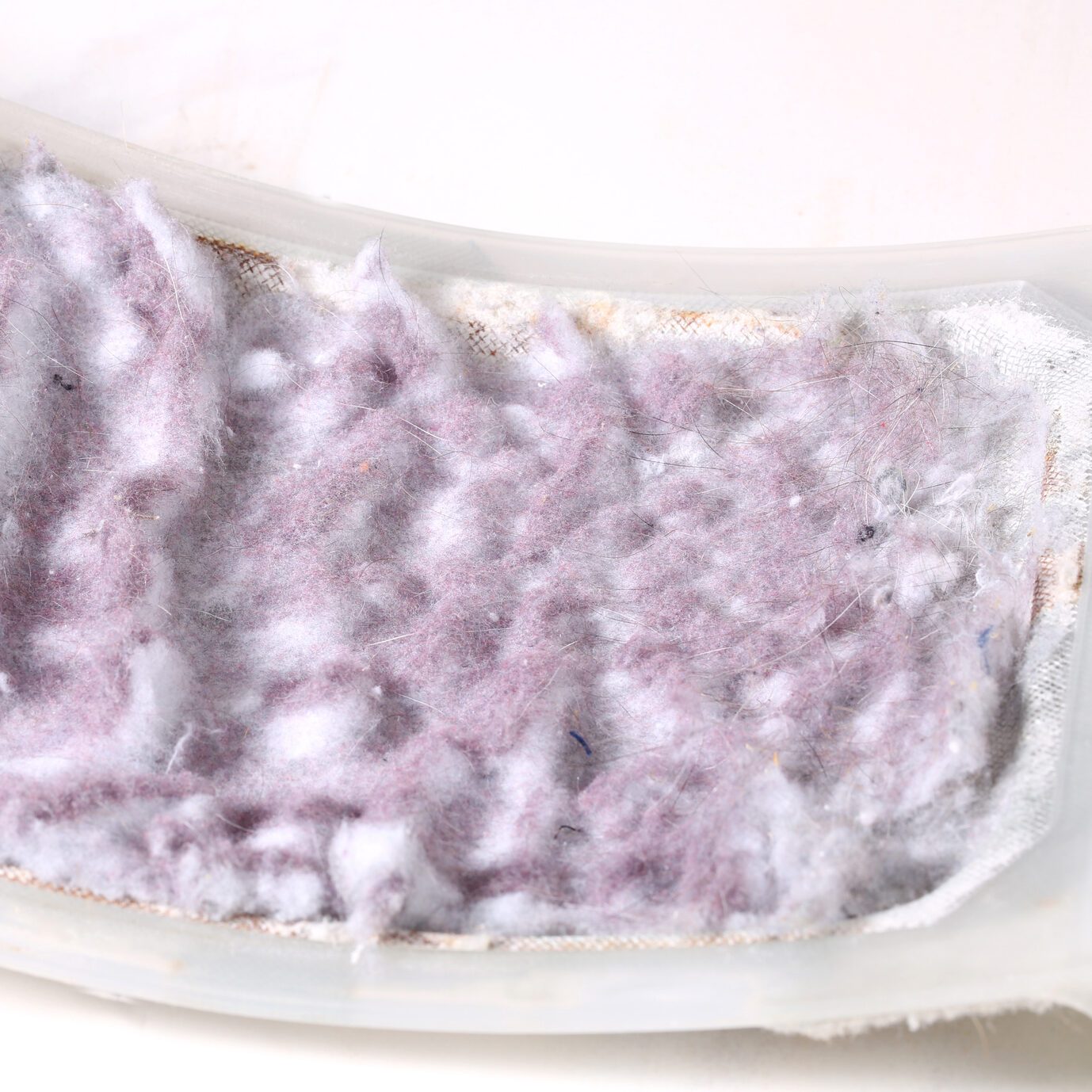 Dryer Lint