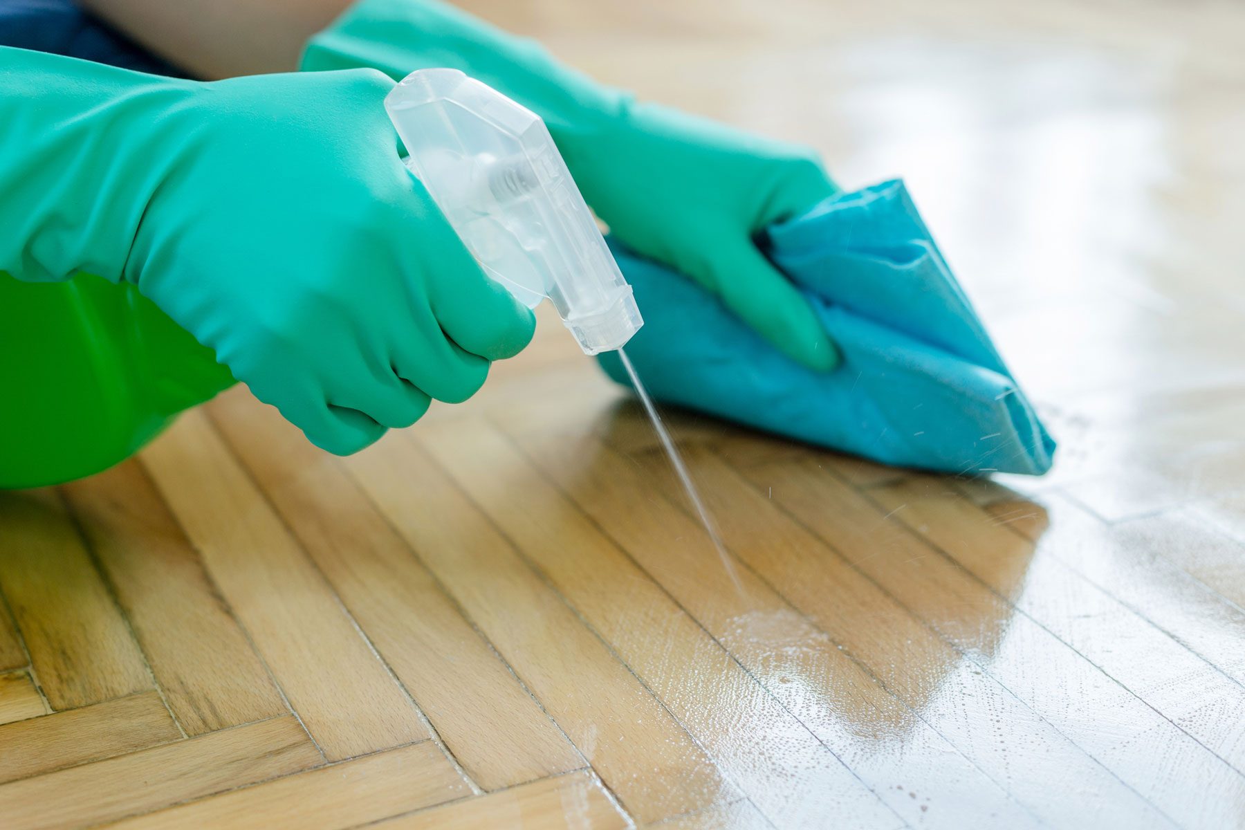 How To Get Rid Of Mold On Unfinished Wood Gettyimages 1024070104