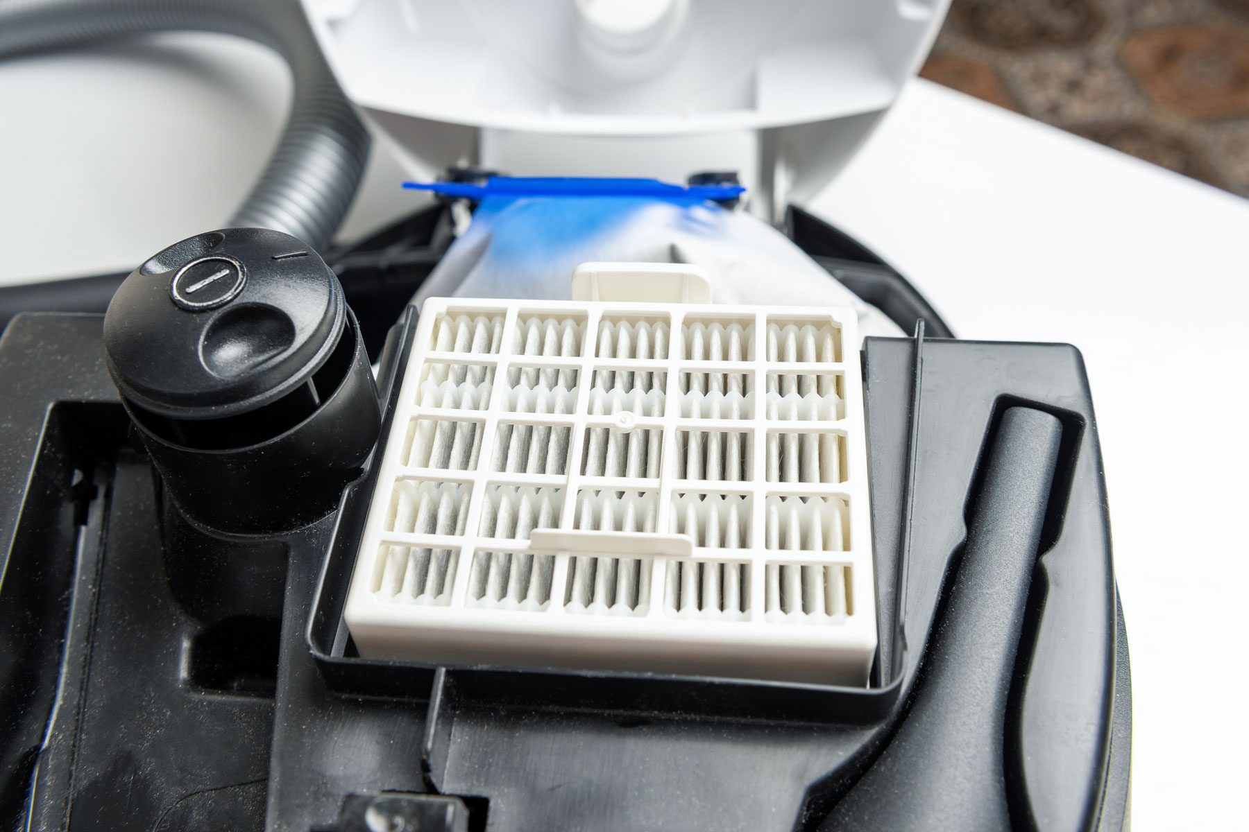 How To Get Rid Of Mold On Unfinished Wood Gettyimages 1273940411