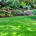 8 Must-Know Tips to Drought-Proof Your Lawn