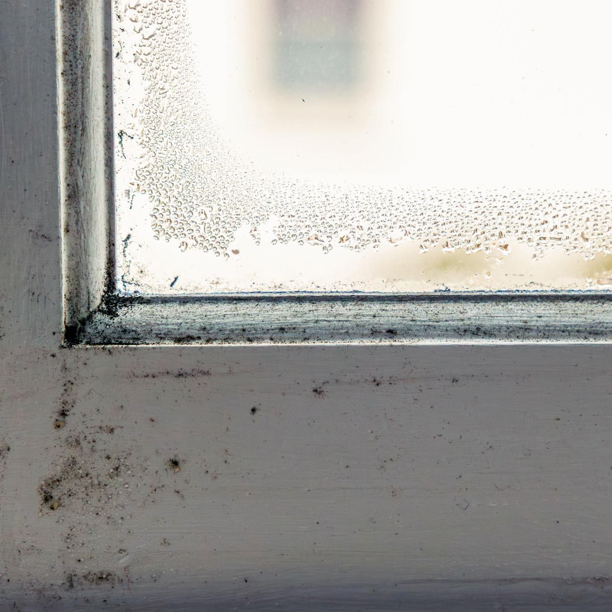 13 Tips To Help Identify And Prevent A Mold Problem In Your House - condensation