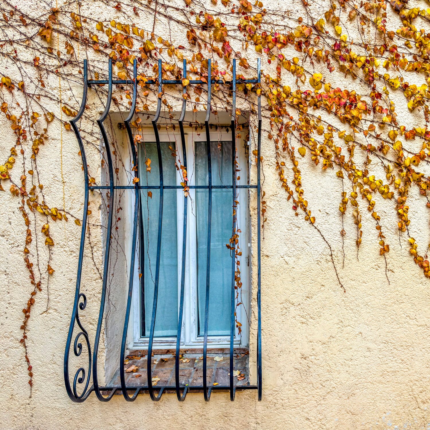 Here’s What Those Window Bars With a Potbelly Are Actually For