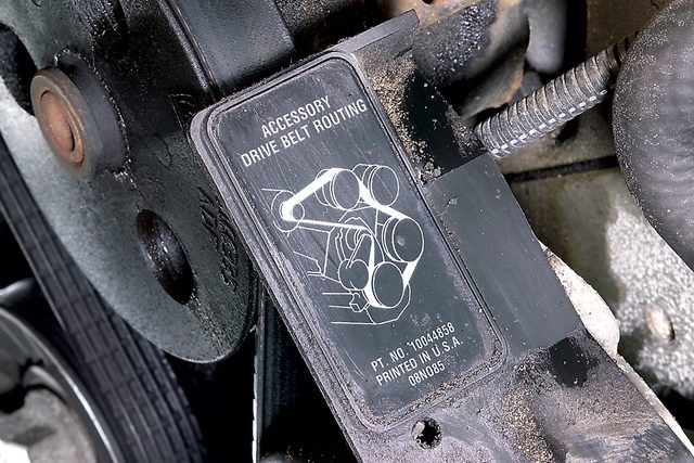 belt routing diagram