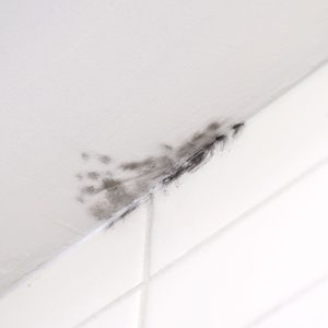 How To Remove Mold From A Bathroom Ceiling
