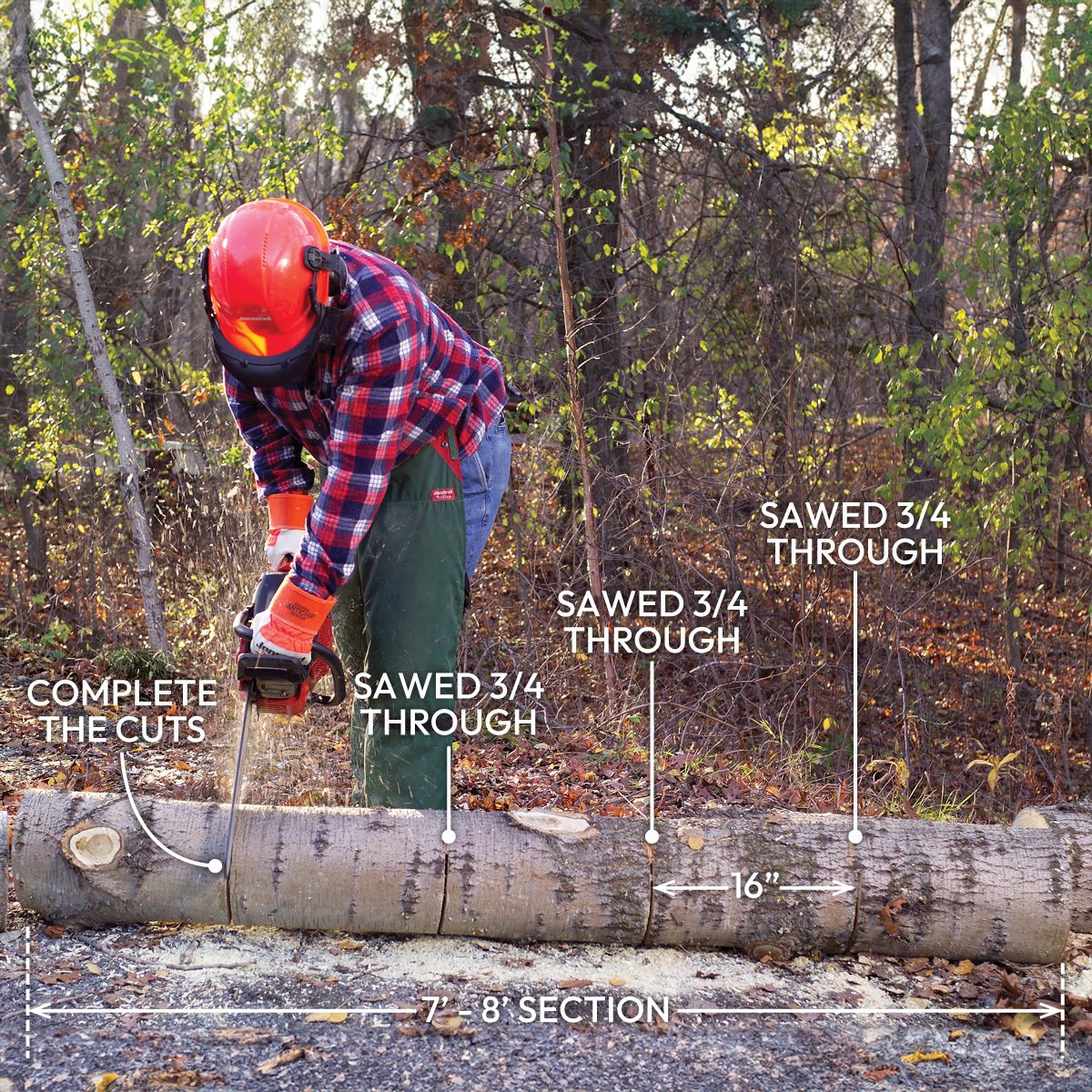 How To Cut Down A Tree Safely Saw the Trunk into Firewood