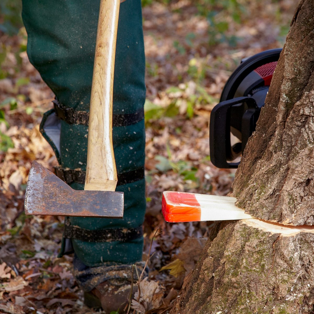 axe being used to drive a felling wedge into notch