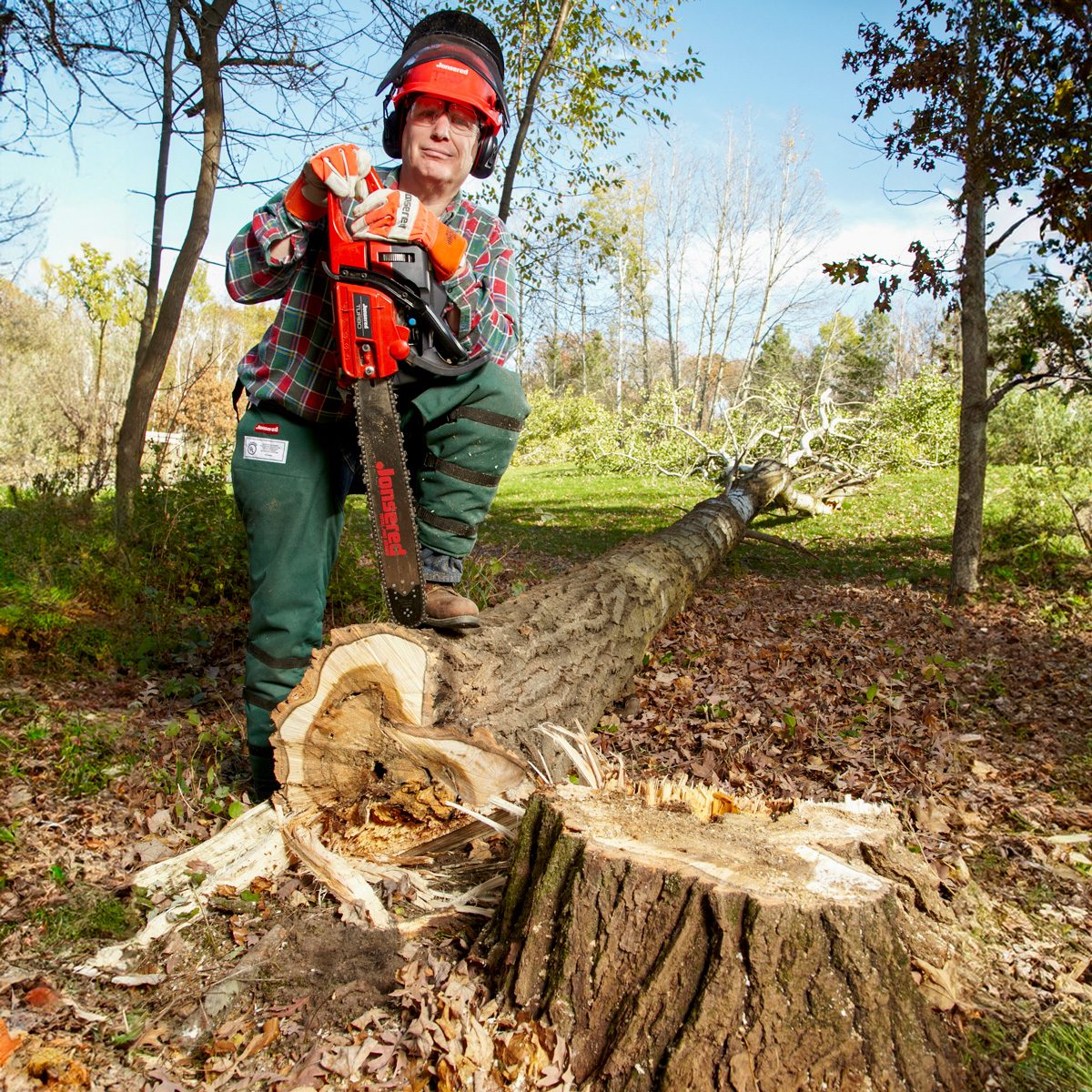 How to Cut Down a Tree Safely