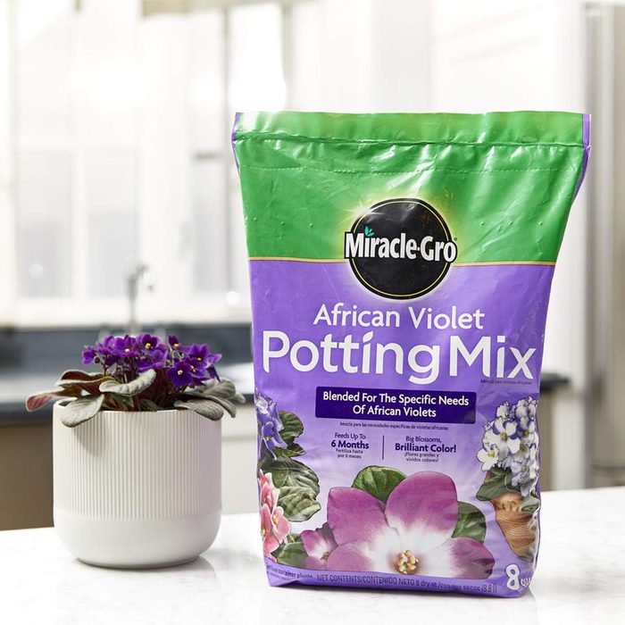 Miracle Gro African Violet Potting Mix